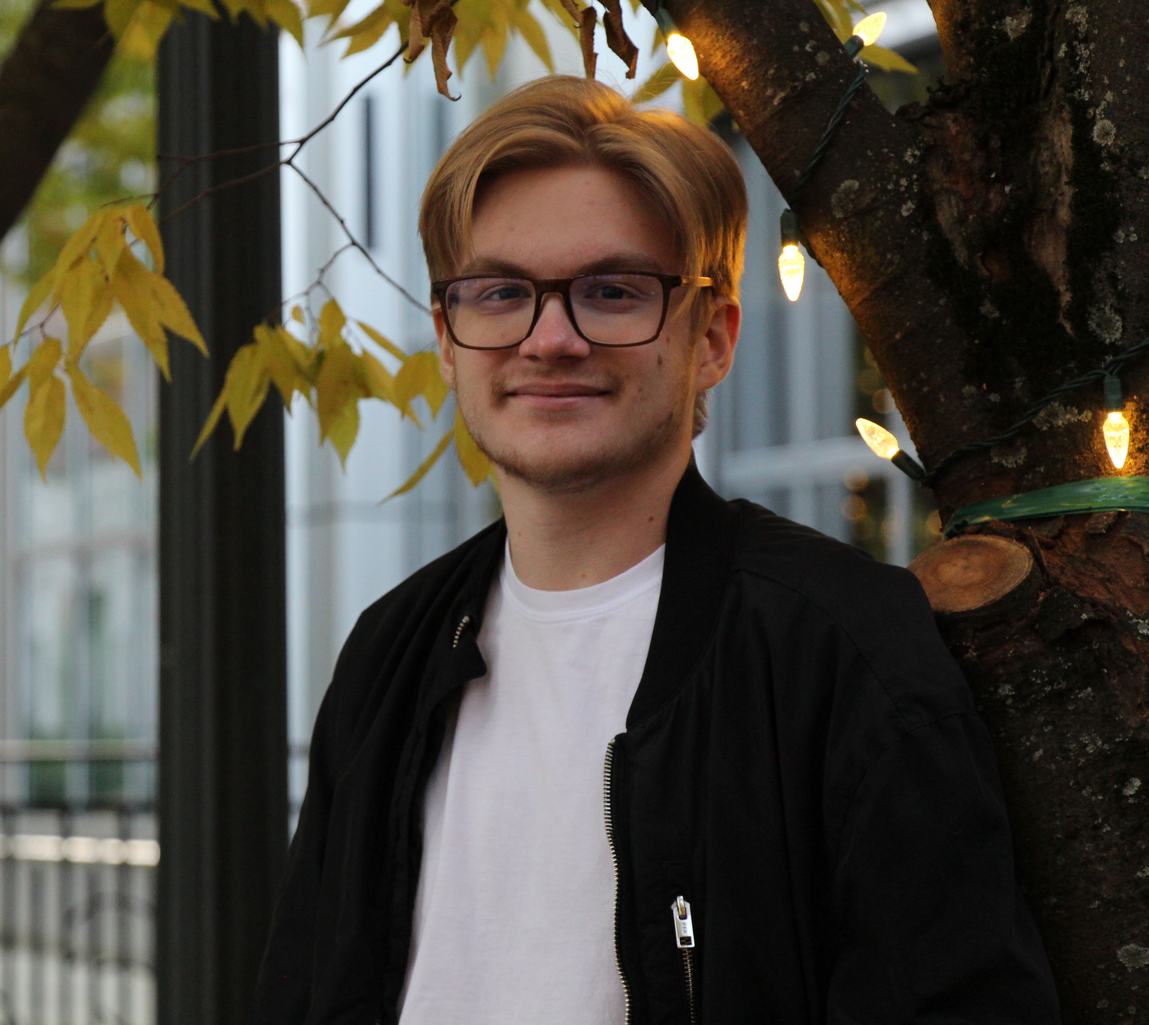 Project placeholder 3